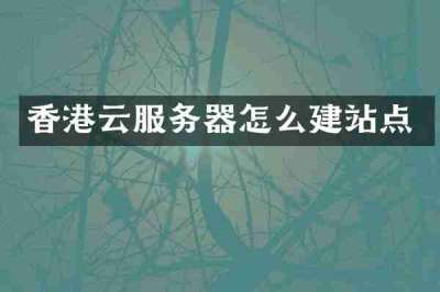 香港云服务器怎么建站点