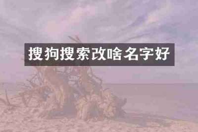 搜狗搜索改啥名字好