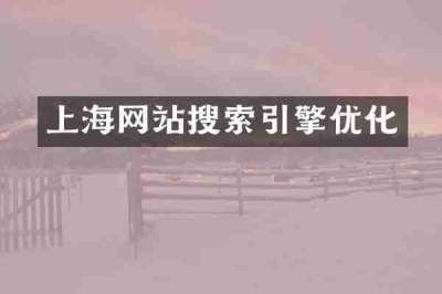 上海网站搜索引擎优化