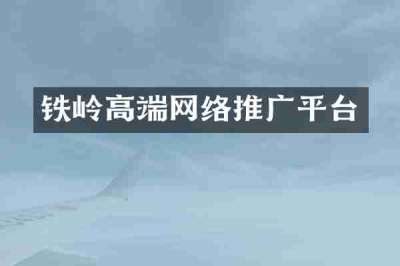 铁岭高端网络推广平台