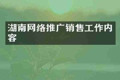 湖南网络推广销售工作内容