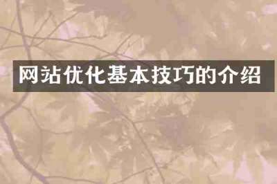 网站优化基本技巧的介绍