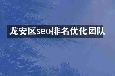 龙安区seo排名优化团队
