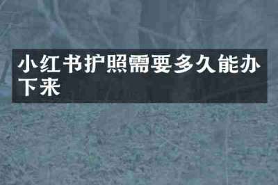 小红书护照需要多久能办下来