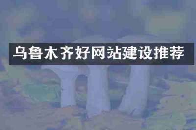 乌鲁木齐好网站建设推荐