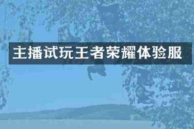 主播试玩王者荣耀体验服