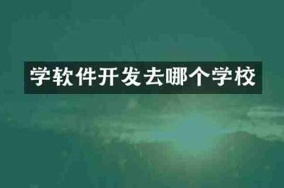 学软件开发去哪个学校
