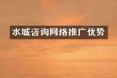 水城咨询网络推广优势