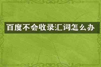 百度不会收录汇词怎么办
