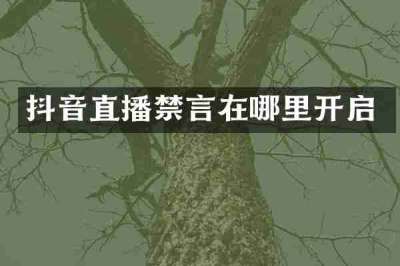 抖音直播禁言在哪里开启