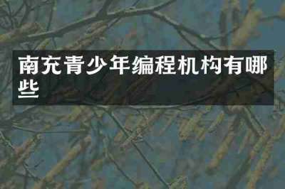 南充青少年编程机构有哪些