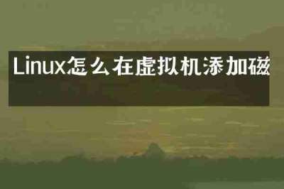 Linux怎么在虚拟机添加磁盘