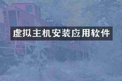 虚拟主机安装应用软件
