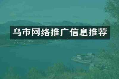 乌市网络推广信息推荐