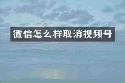 微信怎么样取消视频号