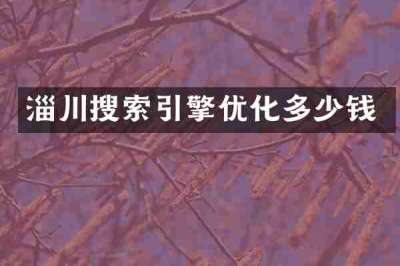 淄川搜索引擎优化多少钱