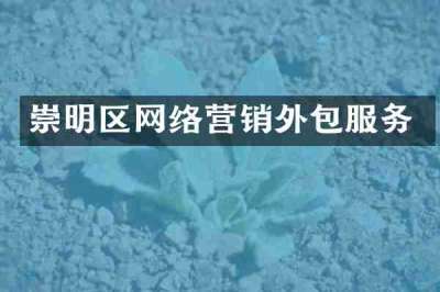 崇明区网络营销外包服务