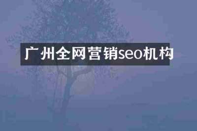 广州全网营销seo机构