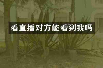 看直播对方能看到我吗