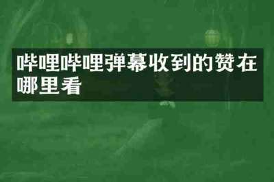 哔哩哔哩弹幕收到的赞在哪里看