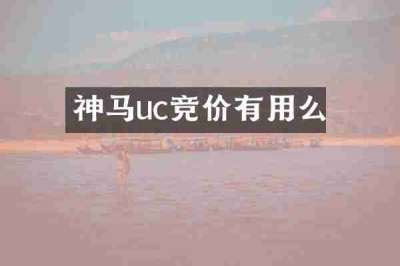 神马uc竞价有用么