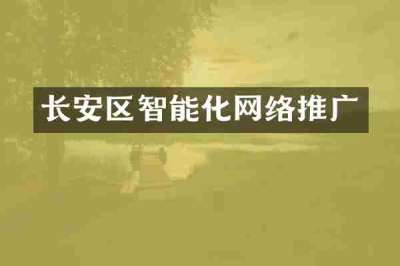 长安区智能化网络推广