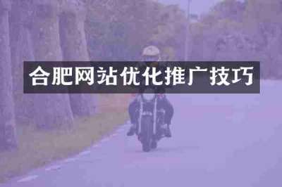 合肥网站优化推广技巧