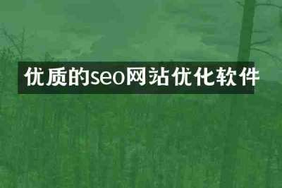 优质的seo网站优化软件