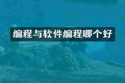 编程与软件编程哪个好