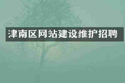 津南区网站建设维护招聘