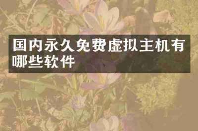 国内永久免费虚拟主机有哪些软件