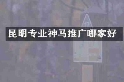 昆明专业神马推广哪家好