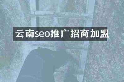 云南seo推广招商加盟