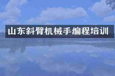 山东斜臂机械手编程培训