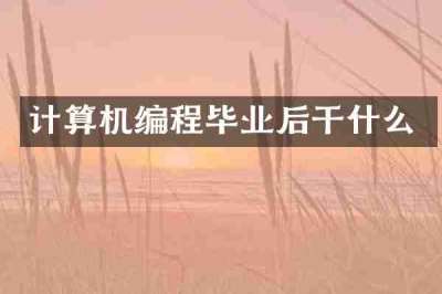 计算机编程毕业后干什么