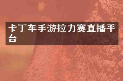 卡丁车手游拉力赛直播平台