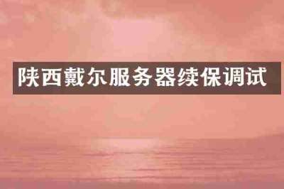 陕西戴尔服务器续保调试