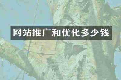 网站推广和优化多少钱