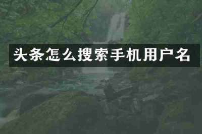 头条怎么搜索手机用户名