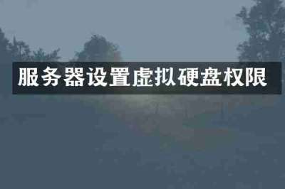 服务器设置虚拟硬盘权限