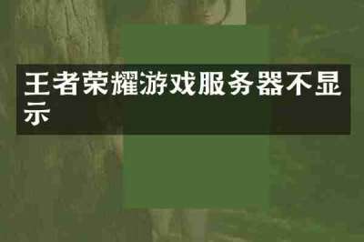 王者荣耀游戏服务器不显示