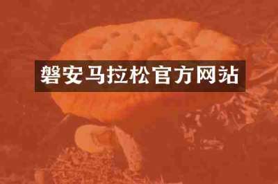 磐安马拉松官方网站