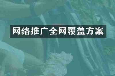 网络推广全网覆盖方案