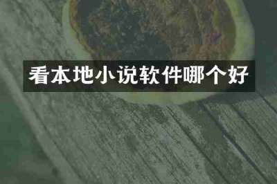看本地小说软件哪个好