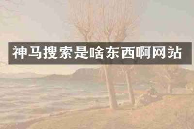 神马搜索是啥东西啊网站