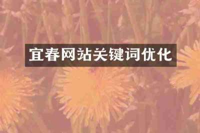 宜春网站关键词优化