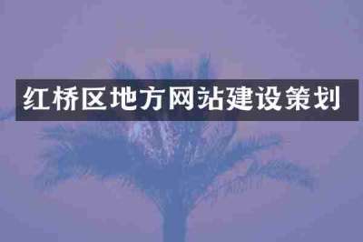 红桥区地方网站建设策划
