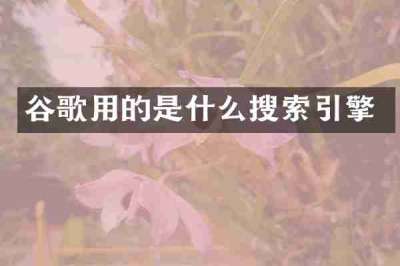 谷歌用的是什么搜索引擎