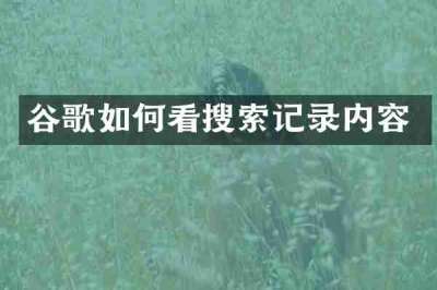 谷歌如何看搜索记录内容