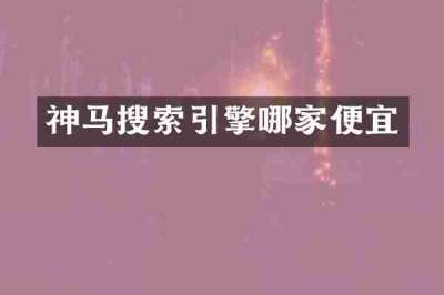 神马搜索引擎哪家便宜